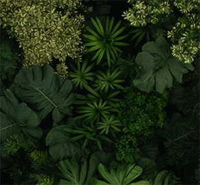 Capturing The Beauty Of Nature