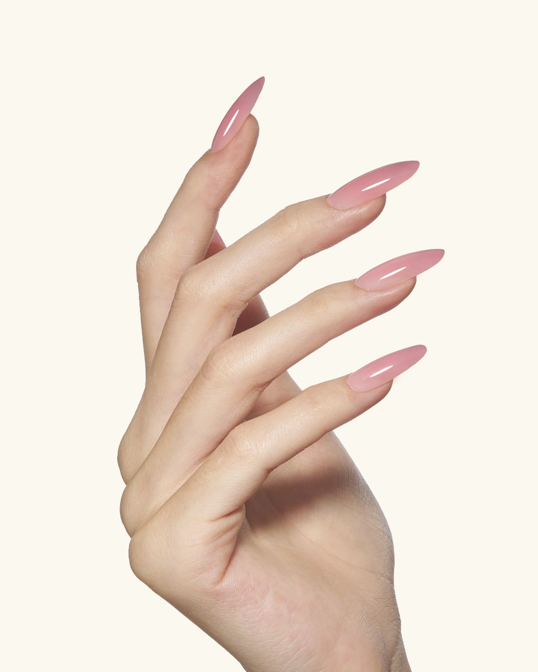 MS01-MS12 Jelly Builder Gel Kit