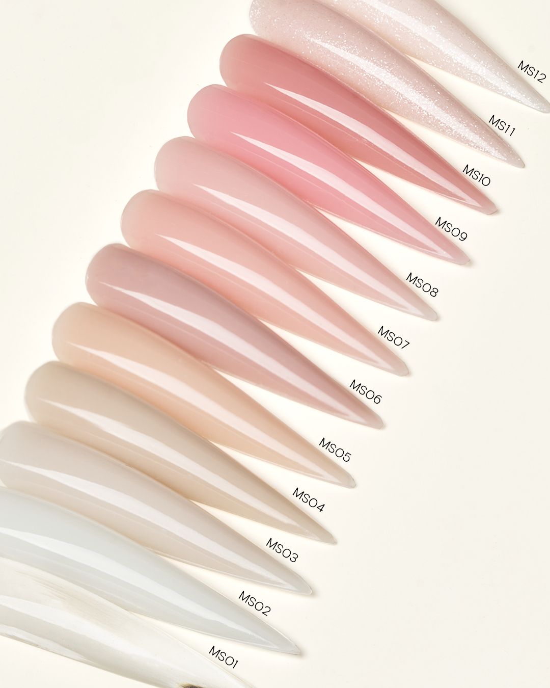 MS01-MS12 Jelly Builder Gel Kit