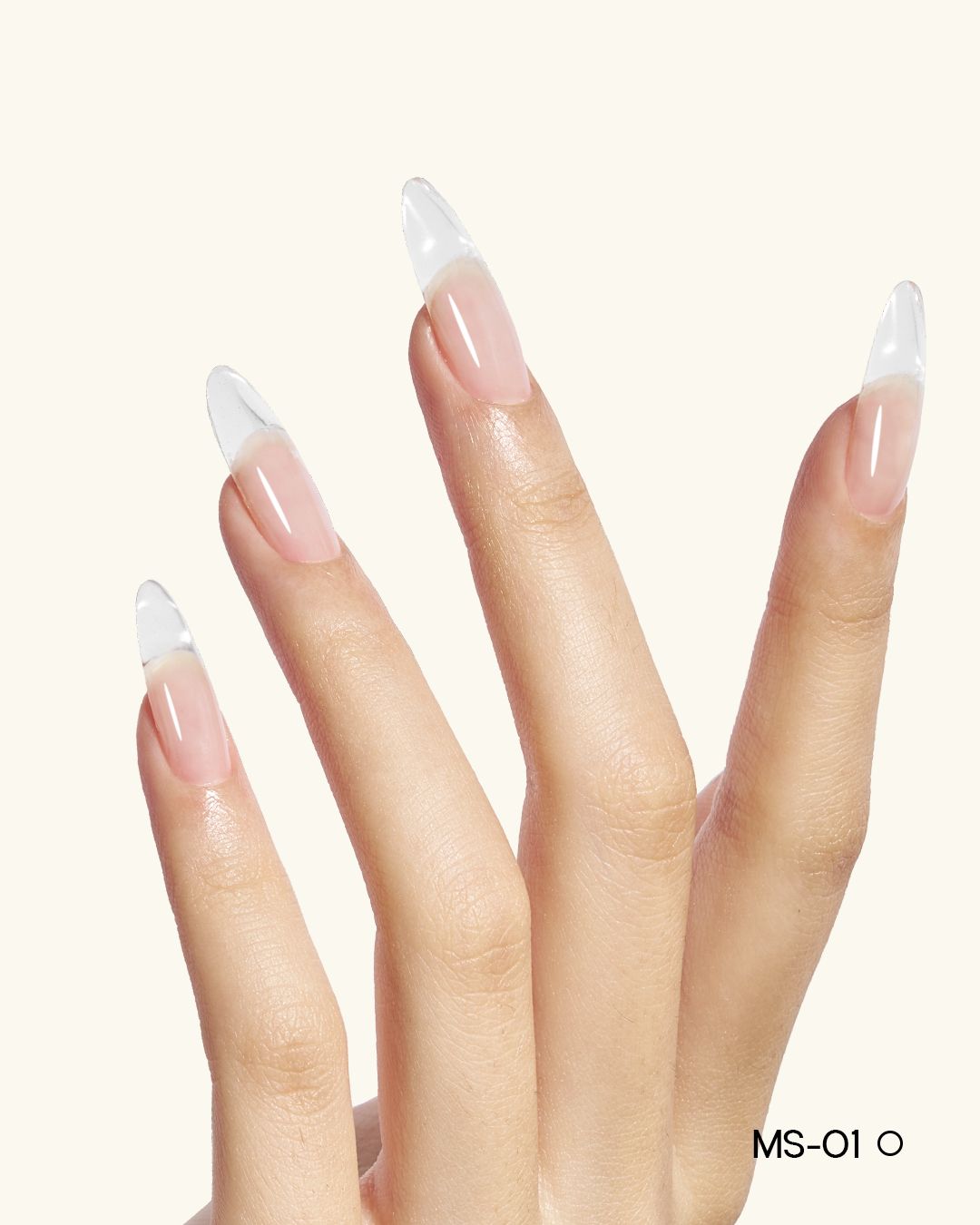 MS01-MS12 Jelly Builder Gel Kit