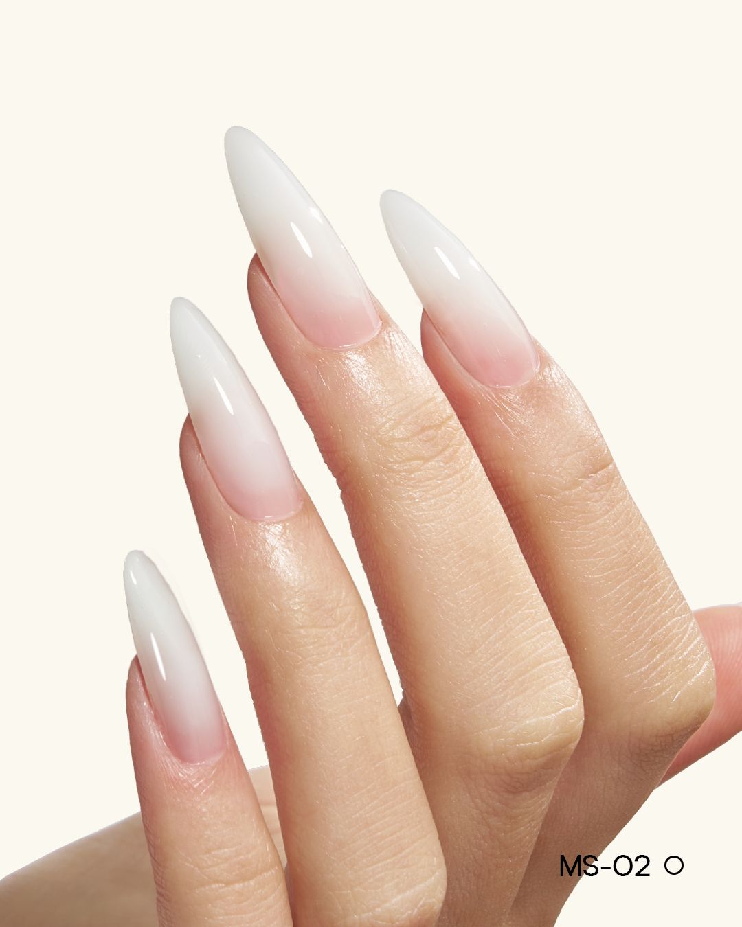 MS01-MS12 Jelly Builder Gel Kit