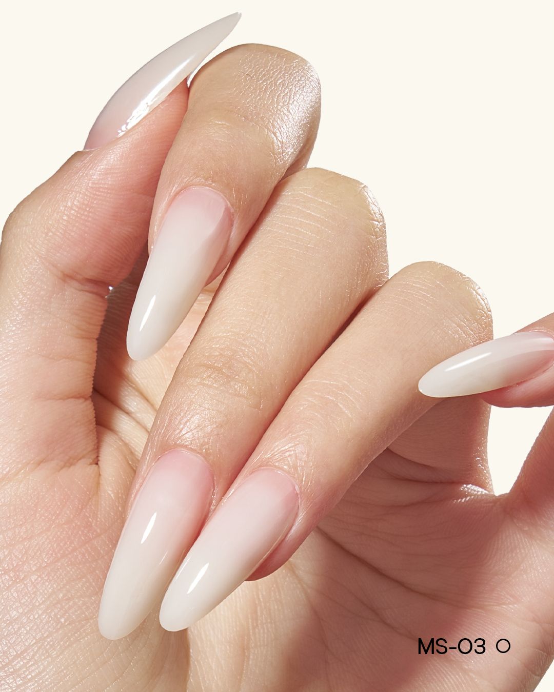 MS01-MS12 Jelly Builder Gel Kit