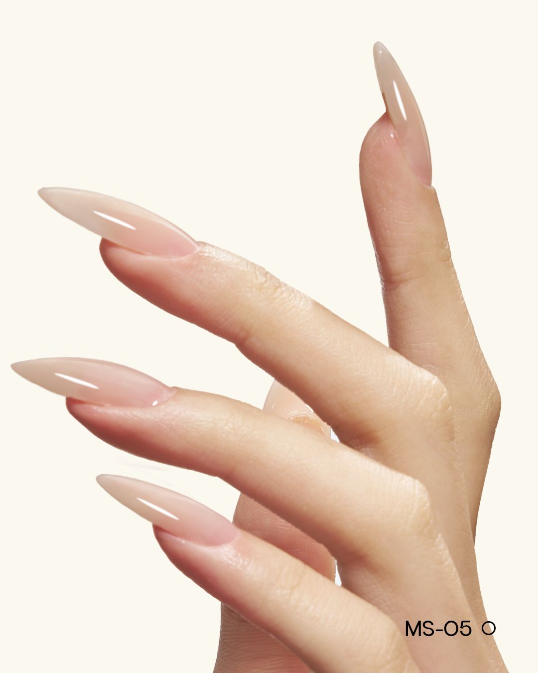 MS01-MS12 Jelly Builder Gel Kit