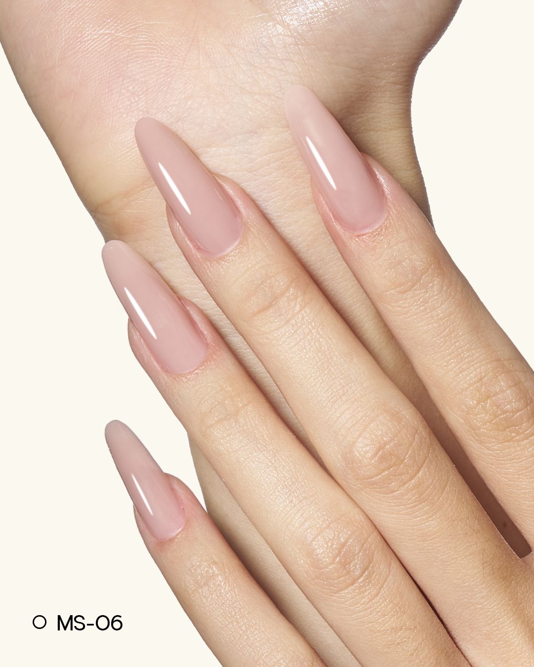 MS01-MS12 Jelly Builder Gel Kit