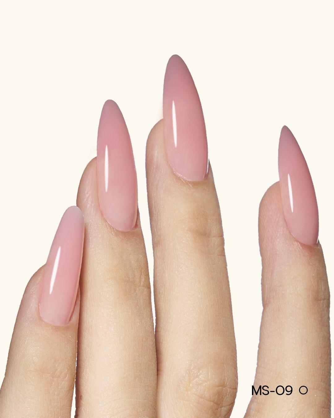 MS01-MS12 Jelly Builder Gel Kit