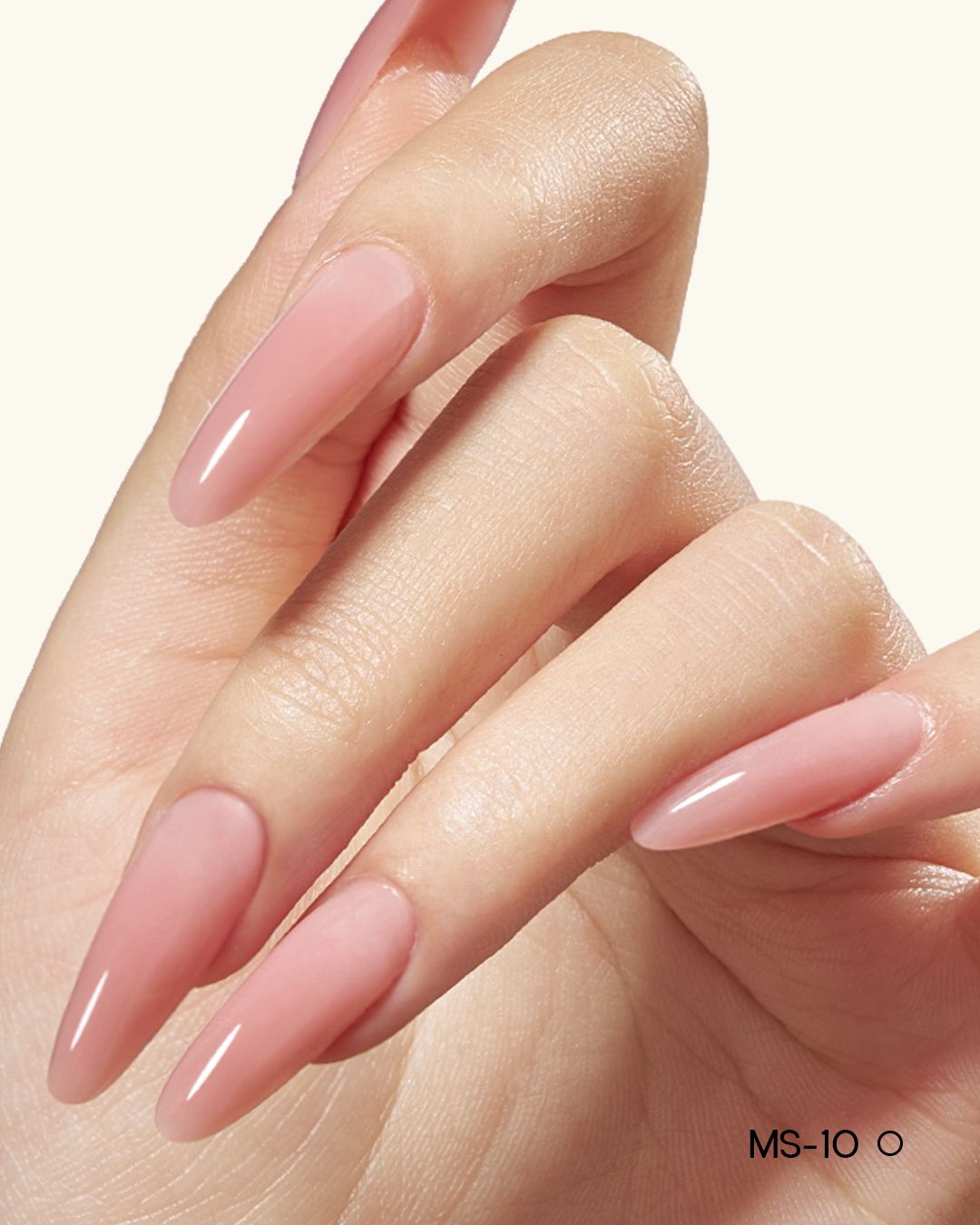 MS01-MS12 Jelly Builder Gel Kit