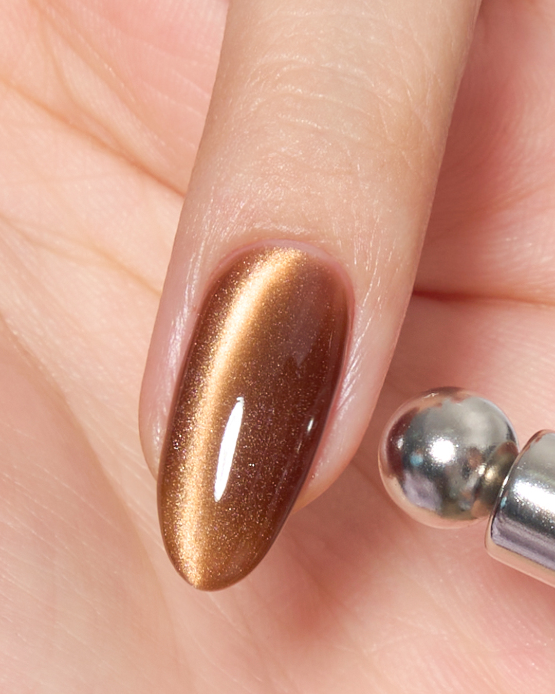 Maple Trails Cat Eye Collection