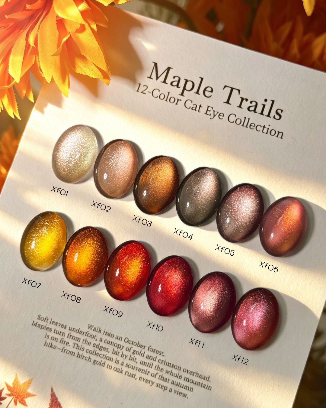 Maple Trails Cat Eye Collection